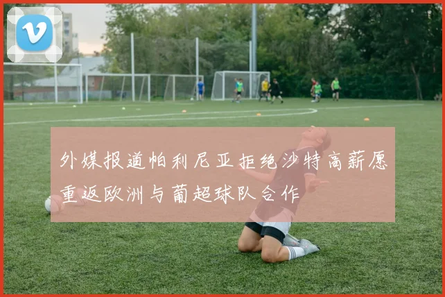 外媒报道帕利尼亚拒绝沙特高薪愿重返欧洲与葡超球队合作